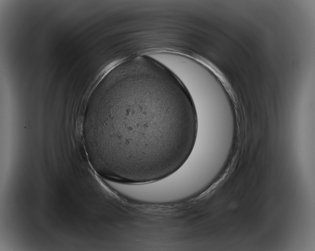 X0000084530809200703021419