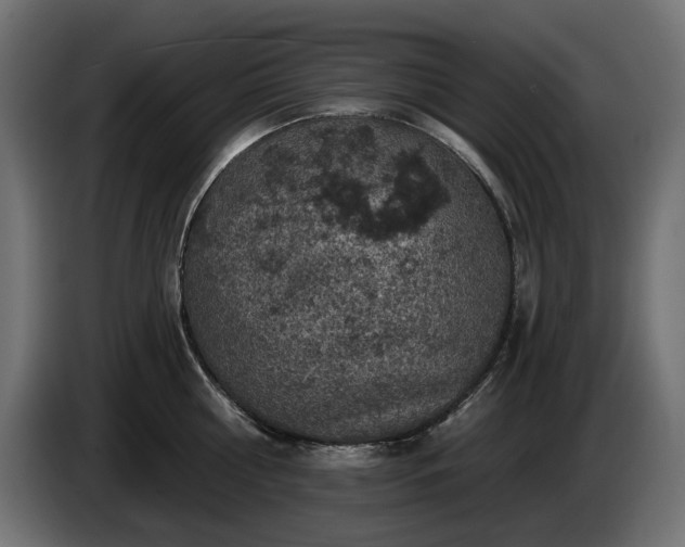X0000084530810200703021419