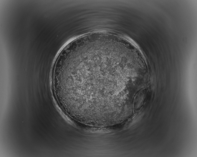 X0000084530811200703021419