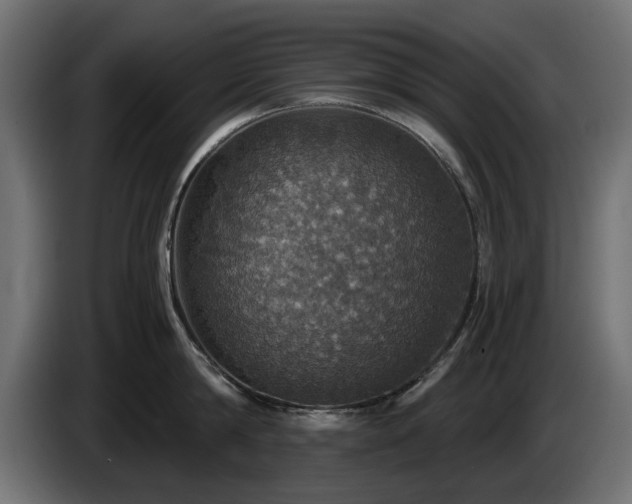 X0000084530814200703021419