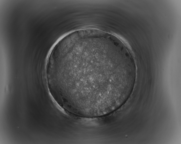 X0000084530816200703021419