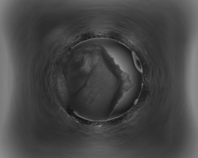X0000084530817200703021418