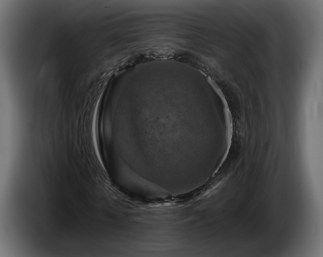 X0000084530818200703021418