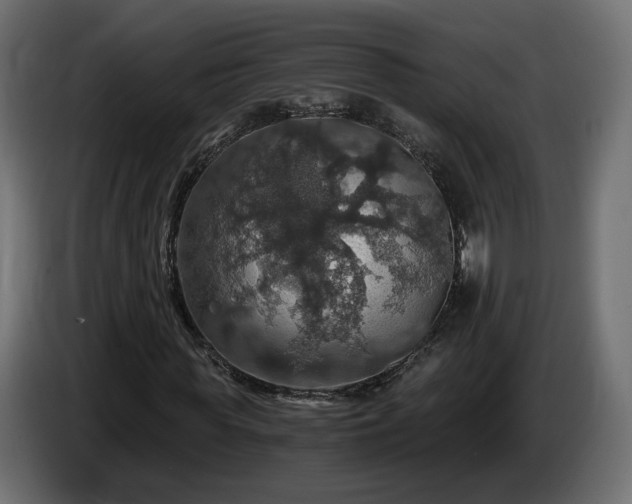 X0000084530819200703021418
