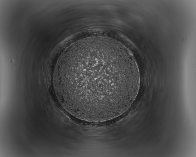 X0000084530821200703021418