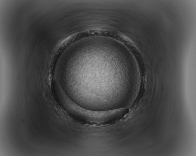 X0000084530822200703021418