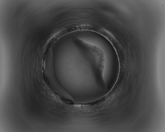 X0000084530823200703021418