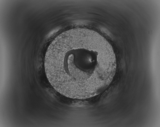 X0000084530824200703021418