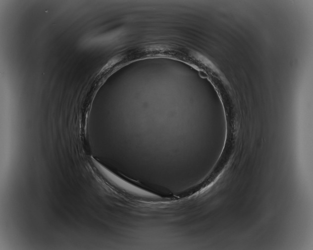 X0000084530825200703021418