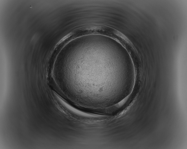 X0000084530826200703021418