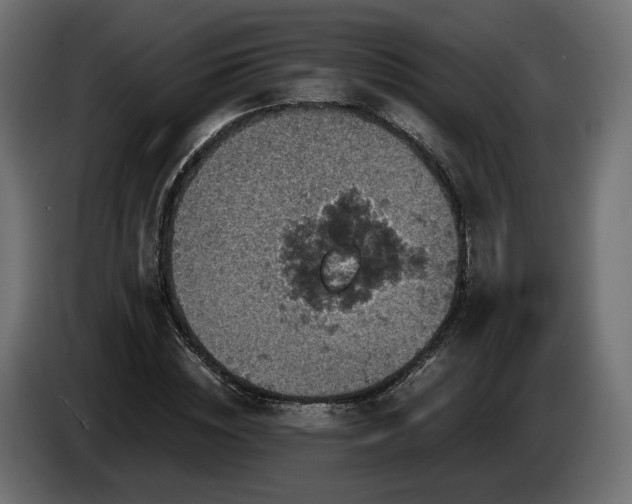 X0000084530828200703021418