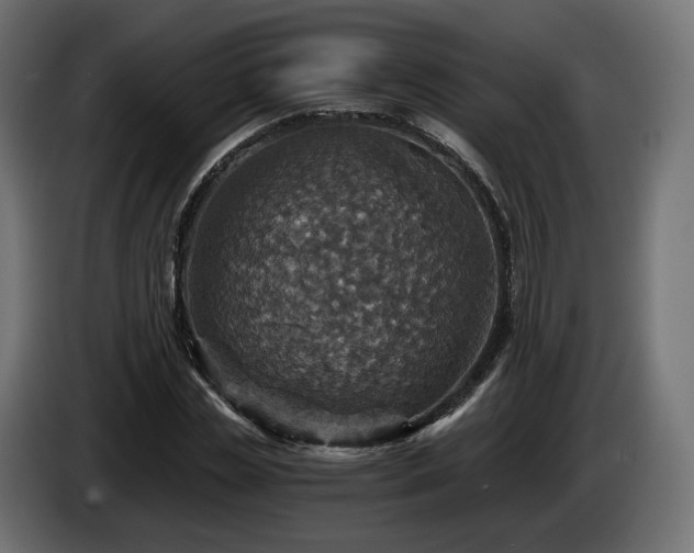 X0000084530829200703021418