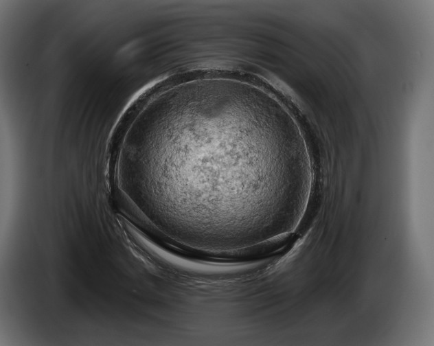 X0000084530830200703021418