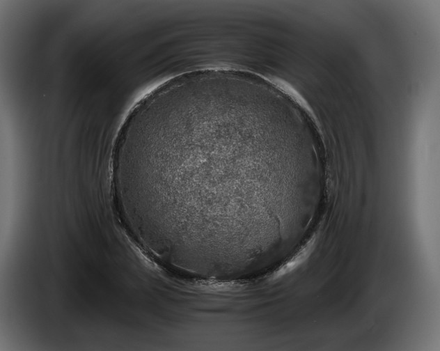 X0000084530831200703021418