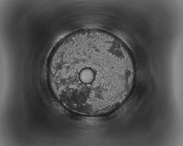 X0000084530832200703021418