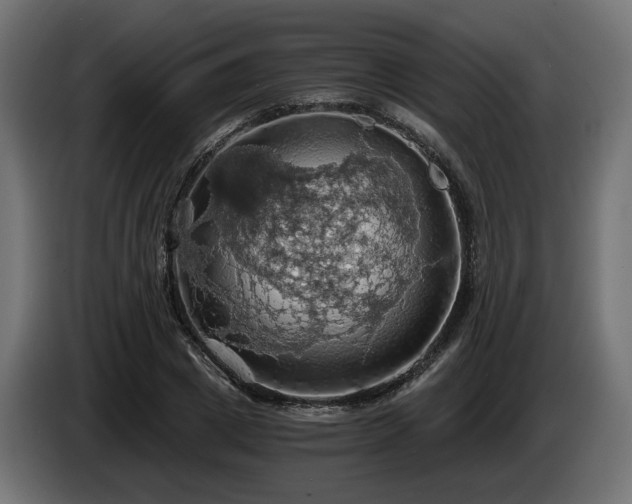 X0000084530833200703021418