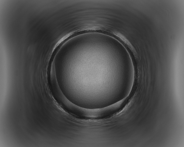 X0000084530834200703021418