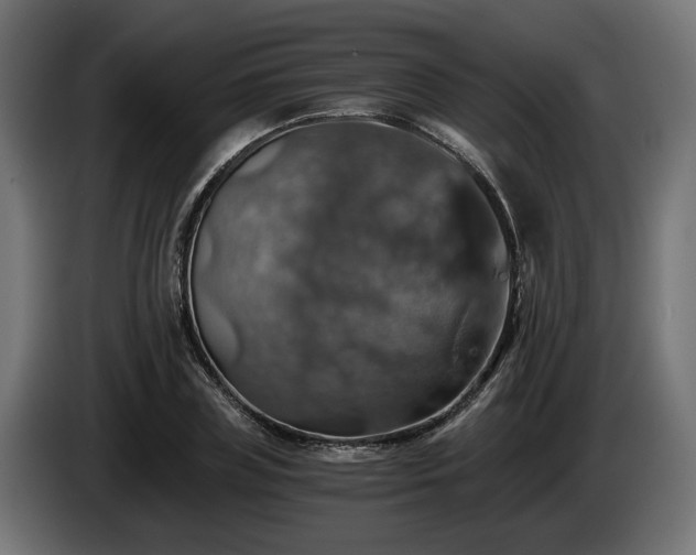 X0000084530835200703021418