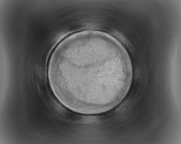 X0000084530836200703021418