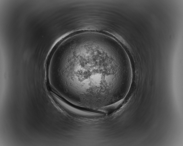 X0000084530838200703021418