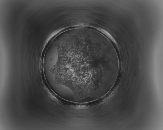 X0000084530839200703021419