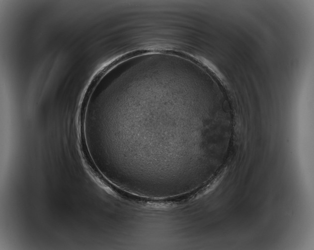 X0000084530840200703021419