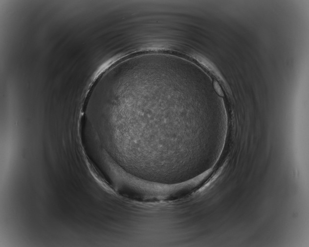 X0000084530842200703021419