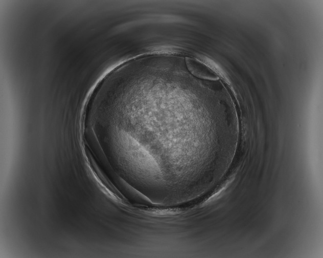 X0000084530843200703021419