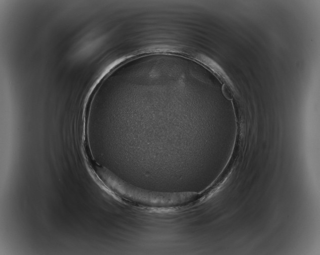 X0000084530844200703021419
