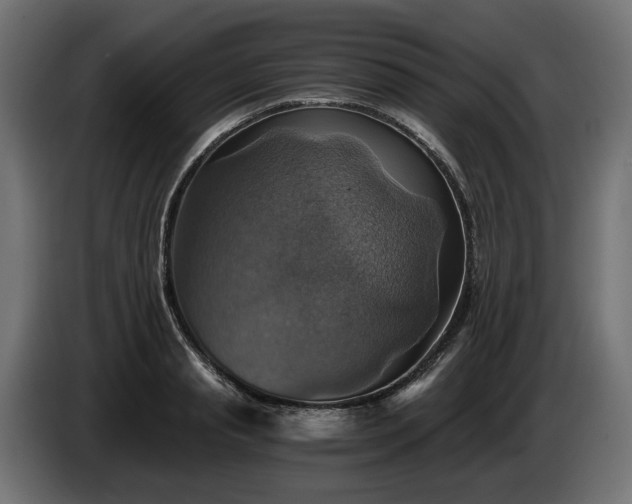 X0000084530845200703021419