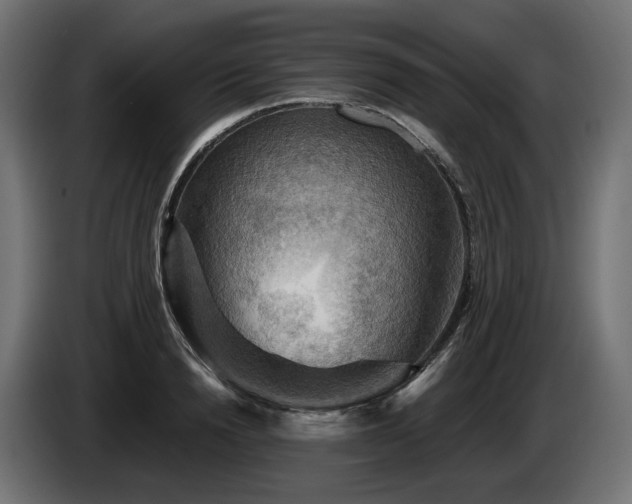 X0000084530846200703021419