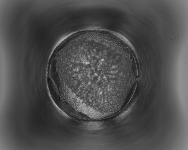 X0000084530847200703021419