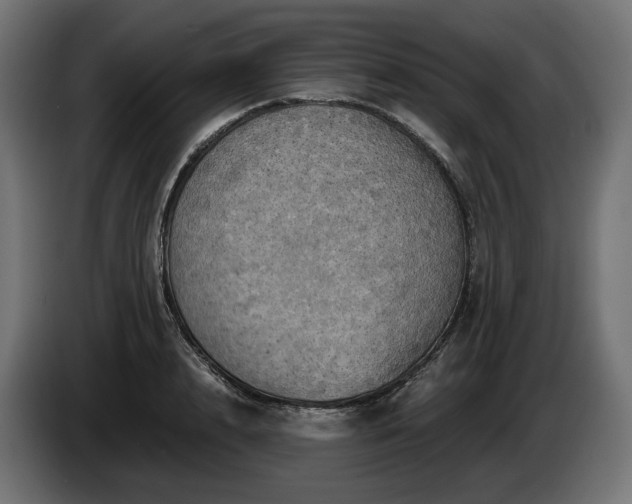 X0000084530848200703021419