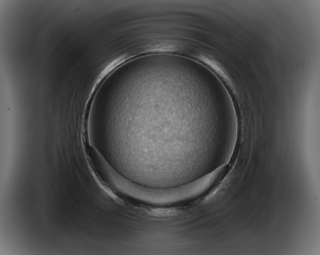 X0000084530850200703021419