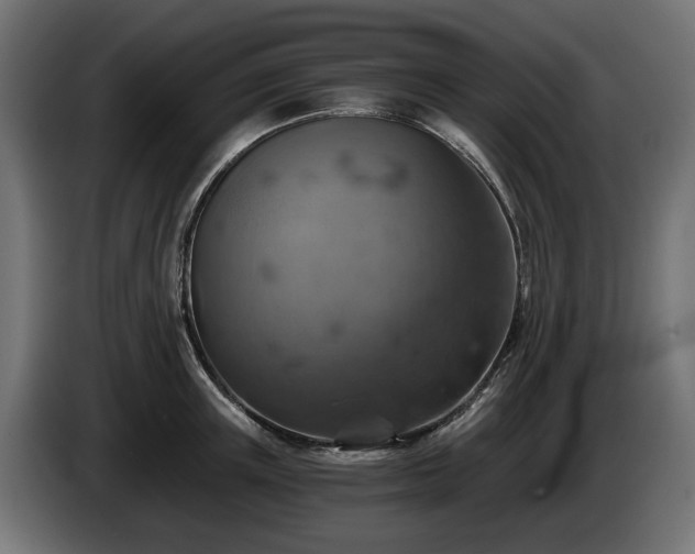 X0000084530851200703021419