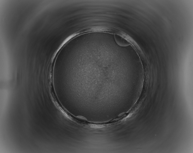 X0000084530852200703021419