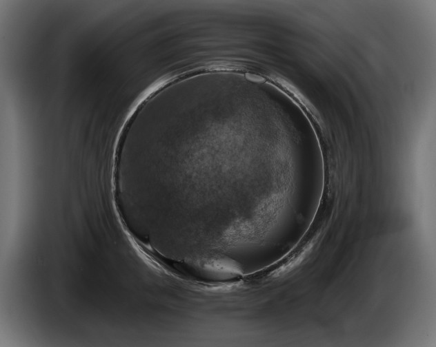 X0000084530853200703021419