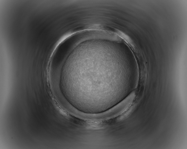 X0000084530854200703021419