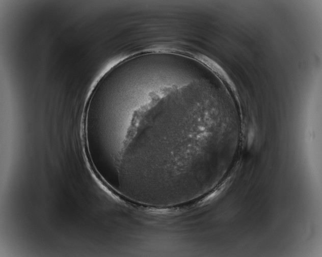X0000084530855200703021419