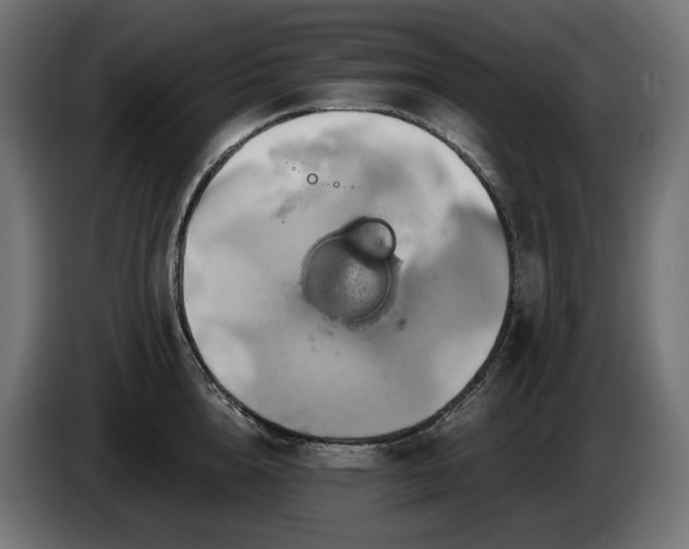 X0000084530856200703021419