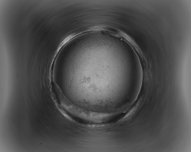 X0000084530858200703021419