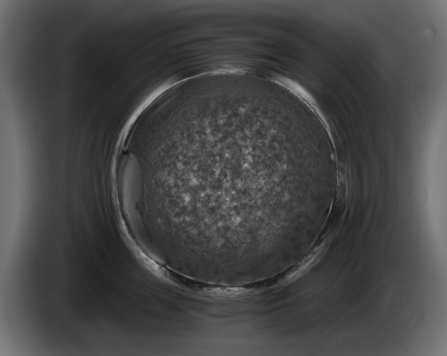 X0000084530859200703021419