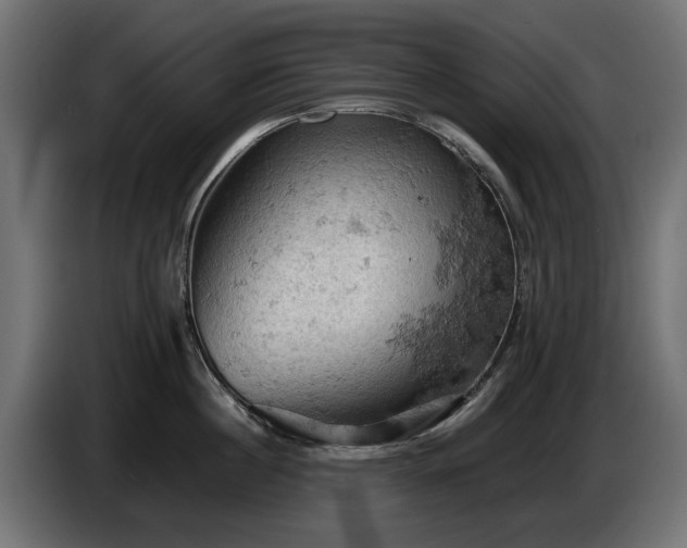 X0000084530860200703021419