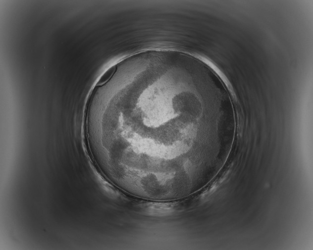 X0000084530861200703021419