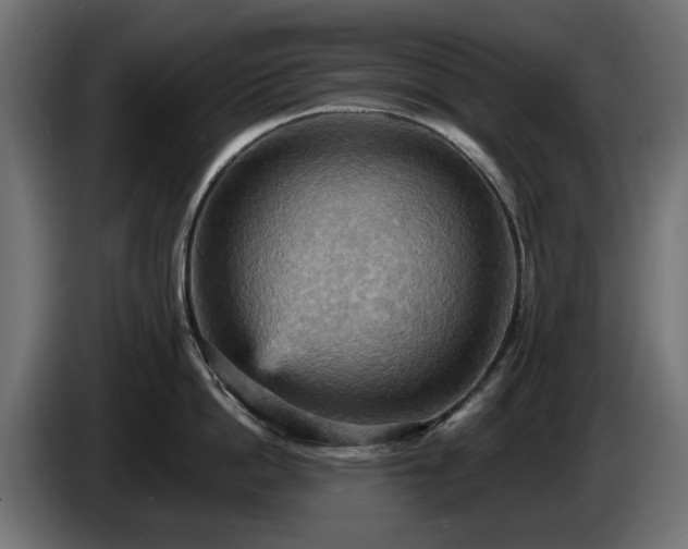 X0000084530862200703021419