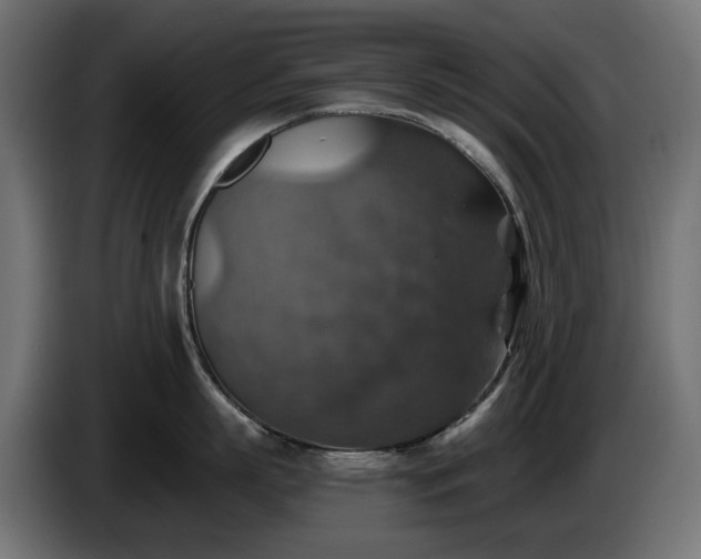 X0000084530863200703021419