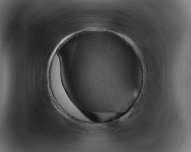 X0000084530864200703021419