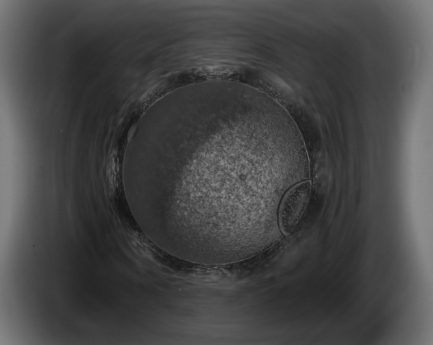 X0000084530866200703021418