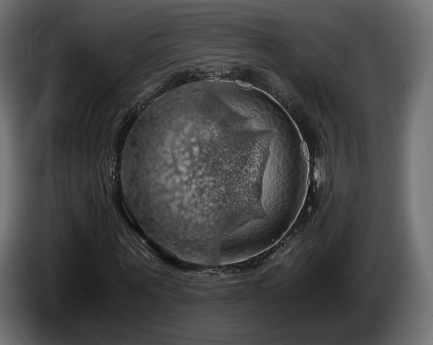 X0000084530867200703021418