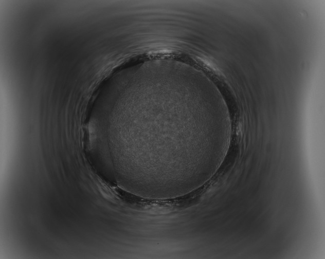 X0000084530868200703021418